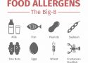 food_allergy_allergens_child_fare_safety