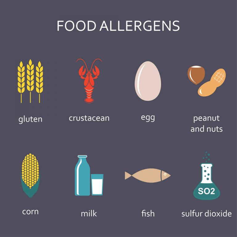 What are the Major Food Allergens?